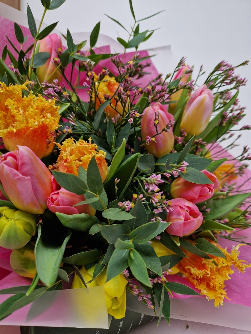 Tulips, Tulips, Tulips